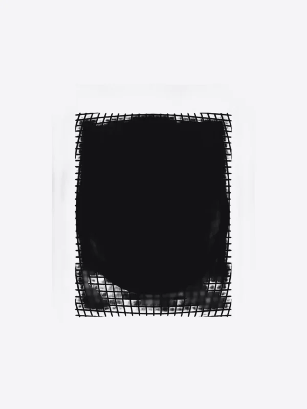 Lens print, flat artwork