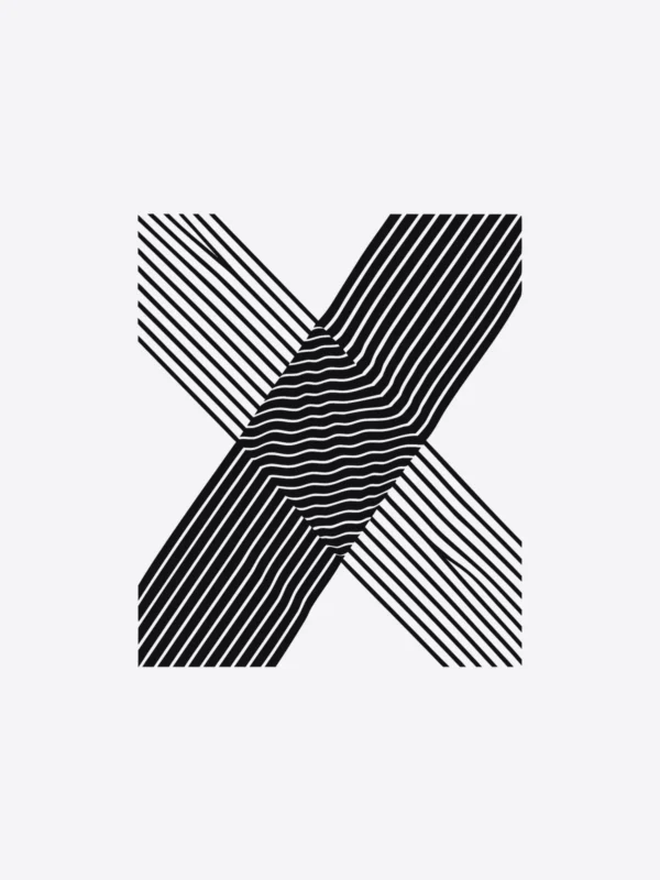 The Moire artwork on its own: two fine line grids overlaid a few degrees apart.